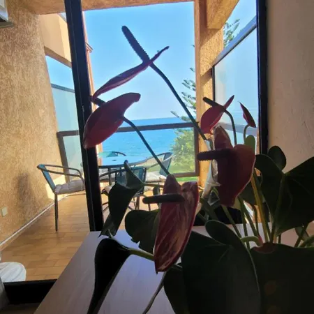 Lucia Dream Apartamento